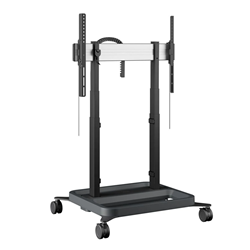 VO-RISE5308 (1)